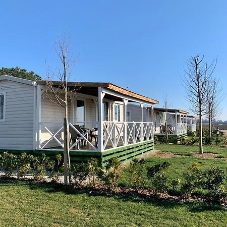 Agriturismo Nonno Mario Fossone d'Adige Eksteriør billede